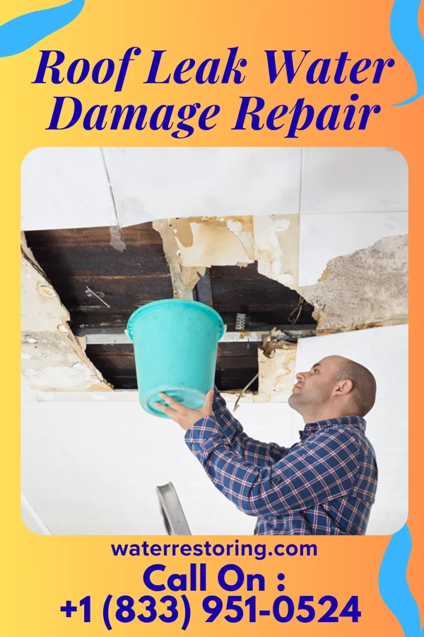 Roof Leak Water Damage Repair in Shannon Colony, SD